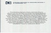 ACADEMIA MEXICANA DE AUDITORIA INTEGRAL Y …amdad.org.mx/archivos/LA-019GYR047-T53-2013.pdf · a ACADEMIA MEXICANA DE AUDITORIA INTEGRAL Y AL DESEMPENO. A.C. TESTIMONIO EMITIDO POR