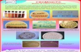 FOLLETOS medios de cultivo cromogenicos - microkit.es · La mayor ventaja de los CALDOS CROMOGÉNICOS es que proporcionan un rápido despistaje de muestras negativas con mayor sensibilidad