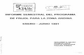 INFORME SEMESTRAL DEL PROGRAMA DE FRIJOL …ciat-library.ciat.cgiar.org/Articulos_Ciat/Digital/42616_Informe... · variedades de frijol entregados en Venezuela: Manuare y Montalban,