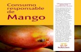 Organización de Comercio Justo IDEAS Mango · ... seguido de lejos por China, ... El mango es la principal fruta de exportación del Perú. ... generaron una sobre oferta de mango