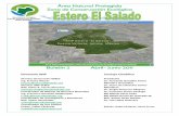 Área Natural Protegida Zona de Conservación Ecológicaesterodelsalado.org/pdf/2011/BOLETIN_EL_SALADO ABRIL - JUNIO_20… · siempre ha sido una piedra ... El Hotel Holiday Inn otorgó
