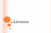 LÍPIDOS - [DePa] Departamento de Programas …depa.fquim.unam.mx/amyd/archivero/2-Lipidos-Resumen-Intersemestr… · ... los componentes lipídicos tienen gran importancia en la
