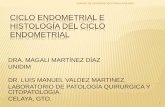 CICLO ENDOMETRIAL E HISTOLOGÍA DEL CICLO ...unidim.com.mx/wp-content/uploads/2016/04/SESION-8... · resumen de ciclo menstrual unidad de diagnostico para la mujer 12 . histologia