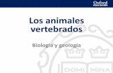Los animales vertebrados - ieslasencinas.orgieslasencinas.org/wp-content/uploads/2018/02/Vertebrados.pdf · Poseen un sistema nervioso organizado en nervios que lleva la información
