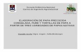 ELABORACIÓN DE PAPA PRECOCIDA …cipotato.org/wp-content/uploads/congreso ecuatoriano 4/Oswaldo... · Hojuelas de papa Trozos deshidratados ... Para la elaboración de las papas