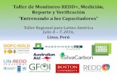 Taller de Monitoreo REDD+, Medición, Reporte y ... · • Promocionar su uso e implementación para multiplicar capacidades. Mexico Honduras Chile Costa Rica República Dominicana