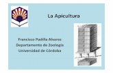 La Apicultura - Universidad de Córdoba · Colmenas fijistas y movilistas • Colmena fijista. – Con panales sólidamente fijados a las paredes. • Extracción de miel en colmenas