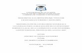 UNIVERSIDAD DE GUAYAQUIL FACULTAD DE …repositorio.ug.edu.ec/bitstream/redug/10343/1/TESIS ALEXANDRA... · Fichas de Observación ... cantón Naranjal, provincia del Guayas con un