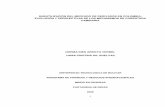 SUBUTILIZACIÓN DEL MERCADO DE DERIVADOS …biblioteca.unitecnologica.edu.co/notas/tesis/0049976.pdf · SUBUTILIZACIÓN DEL MERCADO DE DERIVADOS EN COLOMBIA: EVOLUCIÓN Y PERSPECTIVAS