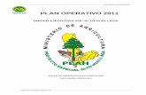 Plan Operativo 2011 - peah.minag.gob.pepeah.minag.gob.pe/download/pdf/conocenos/transparencia/plan_opera... · proyecto. c) Descripción de la Situación Actual ... Reforestación