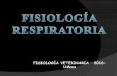 FISIOLOGÍA VETERINARIA 2016- UMazaecaths1.s3.amazonaws.com/fisiologiaveterinaria2014/1137750249... · Tráquea Bronquios Y bronquíolos ... y ocurre al final de la inspiración y