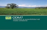 7 ODM7 - unicef.org · Las causas principales son los incendios, las plagas, así como la conver- ... los altos niveles de deforestación y degradación forestal en los países en