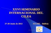 XXVI SEMINARIO INTERNACIONAL DEL CILEA Seminario Sucre/1 - ESPANA Puigvert... · normas internacionales (nic/niif) e interpretaciones ... 31. continuamos la ... p.g.c. y p.g.c. de