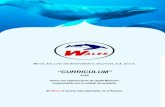 “CURRICULUM” - wales.com.mxwales.com.mx/descargas/CURRICULUM2018.pdf · tratamiento, muestreo, análisis y evaluación de aguas residuales, para el control y mejoramiento de su