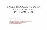 FISIOLOGÍA DE LA CONDUCTA - Psicologia I.E.S. … · bases biolÓgicas de la conducta y el pensamiento -la herencia biolÓgica -el sistema nervioso -localizaciones y funciones del