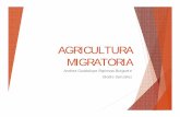 Agricultura Migratoria Seminario Elodie Glez - Iniciosgpwe.izt.uam.mx/files/users/uami/ifig/Agricultura_Migratoria... · • Agroecosistema complejo: agricultura, recolección, caza
