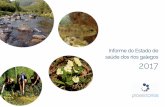 Informe do Estado de saúde dos ríos galegos 2017proxectorios.org/files/descargas/Informe_2017 final.pdf · Informe anual 2017 4 O Proxecto Ríos é un programa de educación e voluntariado