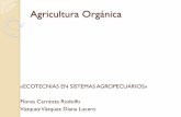 Agricultura Orgánica - sgpwe.izt.uam.mxsgpwe.izt.uam.mx/files/users/uami/ifig/Agricultura_Organica... · OBJETIVOS DE LA AGRICULTURA ORGANICA Practicar la Agricultura Ecológica