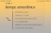 Incendios Forestales E.T.S.II. Agrarias Palencia TEMA … · Humedad absoluta. Tema 2 introducción tiempo atmosférico ... Presión atmosférica (atm) vertical. altitud. presión.