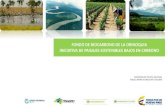 FONDO DE BIOCARBONO DE LA ORINOQUIA …€¢ Promover la reducción de las emisionesde gases efecto invernadero. • Desarrollar acciones de conservación y mitigación de los ecosistemas