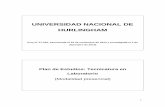 UNIVERSIDAD NACIONAL DE HURLINGHAM - …unahur.edu.ar/sites/default/files/2017-10/Plan Tecnicatura en... · Gestión de la calidad 25. Taller de laboratorio III . 8 Tecnicatura Universitaria