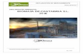 DECLARACIÓN AMBIENTAL BIOMASA DE …biomasadecantabria.com/InformeDeclaracionAmbientalBdCenero... · Como definición de BIOMASA podemos ... contaminación atmosférica y producción
