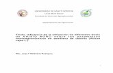 UNIVERSIDAD DE SANCTI SPÍRITUS “José Martí …catalysisagro.com/pdf/cebolla_cuba.pdf · morfoagronómicos en semillero de cebolla (Allium cepa L.). MSc. ... El presente trabajo