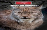 Otoño en Doñana - Club de Viajes Transviaclubdeviajestransvia.com/wp-content/uploads/Otono-en-Donana-Ok.pdf · los secretos mejor guardados del parque y sus otrora hermosos cotos