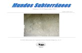 Número 22-23 Septiembre 2012 - mexicancaves.org · pinturas o restos de pinturas auxiliándose con la fotografía infrarroja, fotografía de alta resolución ...