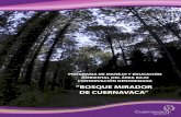 “BOSQUE MIRADOR DE CUERNAVACA” · Hugo Zagal Maldonado Coordinación de proyecto Proyectos productivos ... Mirador, 3) Barrancas de Cuernavaca y 4) Barrancas poniente, a través