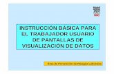 PANTALLAS DE VISUALIZACIÓN DE DATOS (PVD)w1.iata.csic.es/IATA/segl/Riesgos/PANTALLAS DE VISUALIZACION D… · el trabajo con pvds. aspectos legales y normativos: - ley 31/1995 -