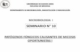 SEMINARIO N° 10 - fmed.uba.ar · seminario n° 10 microbiologia i patÓgenos fÚngicos causantes de micosis oportunistas i . ... insuficiencia respiratoria. neutrófilos macrófagos