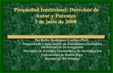 Propiedad Intelectual: Derechos de Autor y Patentes 3 de ... · páginas de internet, correspondecia electrónica, software, etc. 4 Propósito de las Leyes de Propiedad Intelectual