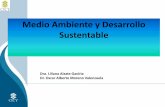 Medio Ambiente y Desarrollo Sustentable2006-2012.conacyt.gob.mx/Becas/feria/Documents/Centro_de_Investig... · Dr. Oscar Alberto Moreno Valenzuela Medio Ambiente y Desarrollo Sustentable.