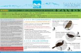 aves · Orden: Galliformes Familia: Cracidae: pavas, chachalacas Género: Penélope * Para más información sobre AVES consultar fichas en la página de la fundación ...