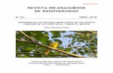 ISSN 2413-337X REVISTA NICARAGUENSE DE … · Orden Galliformes Familia Cracidae Ortalis vetula (Wagler, 1830) Orden Pelecaniformes Familia Ardeidae Bubulcus ibis (Linnaeus, 1758)