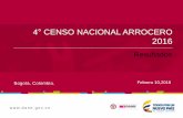 4 CENSO NACIONALARROCERO 2016 - dane.gov.co · • Resultados serie 2000 - 2016. Bogotá, Colombia. Febrero 10,2016 ... variables sociodemográficas de los productores y del cultivo