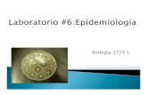 Biología 3725 Lacademic.uprm.edu/~lrios/3725/Ejercicio6.pdf · que se dañan por el calor ... compuestos de amonio cuaternario Desinfectante Antiséptico ... #1 Inocule la placa