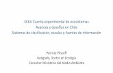 Presentación de PowerPoint - UNSD — Welcome … Cuenta experimental de ecosistemas Avances y desafíos en Chile Sistemas de clasificación, escalas y fuentes de información Patricio