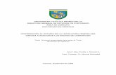 UNIVERSIDAD CATÓLICA ANDRÉS BELLO …biblioteca2.ucab.edu.ve/anexos/biblioteca/marc/texto/AAR7654 .pdf · 1. Causas derivadas de la concepción centralista de gobierno ... Causas