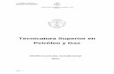Tecnicatura Superior en Petróleo y Gas PYG.pdf · Seguridad en Yacimientos 38 Campo de las Prácticas Profesionalizantes 39 Concepciones y Normativas de las Prácticas Profesionalizantes