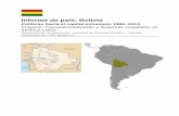 Informe de país: Bolivia - cienciassociales.edu.uycienciassociales.edu.uy/wp-content/uploads/sites/2/2015/07/Bolivia.pdf · acuerdo a las normas ambientales, con autorización de