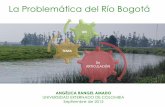 La Problemática del Río Bogotámedioambiente.uexternado.edu.co/m3d10AmB/wp-content... · 2015-09-28 · aferentes del rio Bogotá, en el actual proceso de modificación de los POTS,