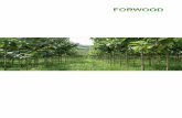 MEMORIA DE INVERSIONES DE FORWOODforwood.se/pdf/Sp/prosp_teakunit.pdf · del contrato se le remitirá otro contrato, esta vez de arrendamiento, con Forwood Forestry Panama S.A. ...