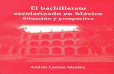 El bachillerato escolarizado en México - ses.unam.mx · cionales como por diversas instancias del gobierno federal o por instituciones de carácter académico tanto públicas como