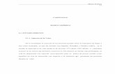 CAPITULO II MARCO TEÓRICO 2.1. ENVEJECIMIENTO 2.1.1 ...catarina.udlap.mx/u_dl_a/tales/documentos/lhr/coutino_m_m/capitulo... · Marco Teórico 12 En México, de acuerdo con Ruvalcaba