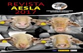 revista AESLA 2017 - oviespana.com · cedente de España, como una rama del tronco entrefino, Algún día, el trabajo que se está desarrollando para la recuperación de ... coño