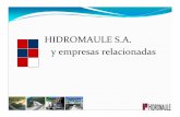 HIDROMAULE S.A. y empresas ... - Comisión de Energía · Conceptos de Diseño yEquipamiento de primer nivel ... Central Lircay, Bocatoma (2008) HIDROMAULE C. Lircay, Canal de Aducción