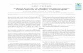 Respuesta de un cultivo de ajo regado con efluentes ... AJO.pdf · del rendimiento de cultivares de ajo tipo colorado, de - terminando dosis óptimas de nitrógeno para maximi-zar