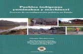 Pueblos indígenas - pieb.com.bo · Pando y de la Embajada del Reino de los Países Bajos. Índice Presentación..... IX Prólogo ...